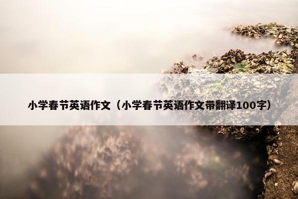小学春节英语作文（小学春节英语作文带翻译100字）