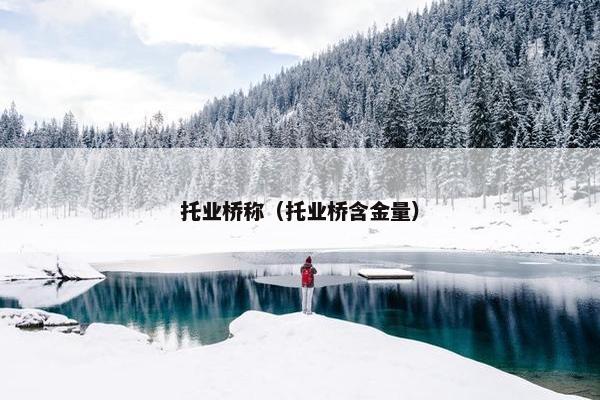 托业桥称（托业桥含金量）