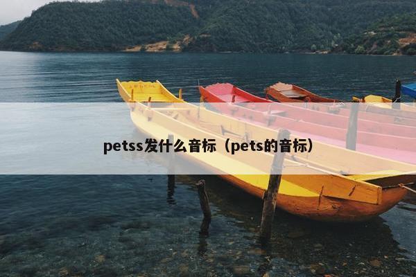 petss发什么音标（pets的音标）