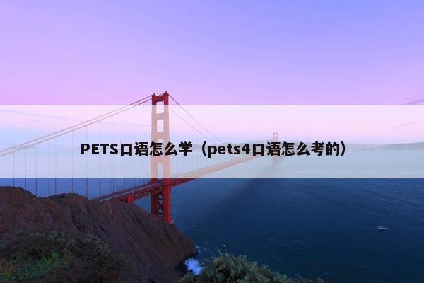 PETS口语怎么学（pets4口语怎么考的）