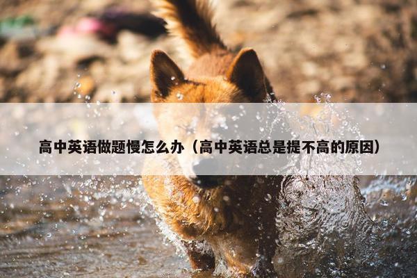 高中英语做题慢怎么办（高中英语总是提不高的原因）