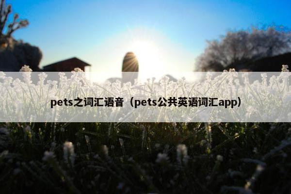 pets之词汇语音（pets公共英语词汇app）
