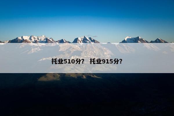 托业510分？ 托业915分？