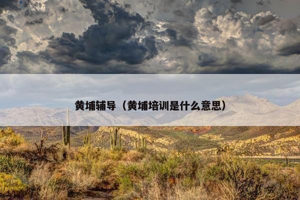 黄埔辅导（黄埔培训是什么意思）