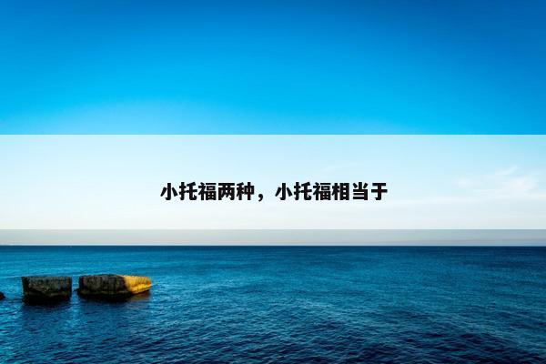 小托福两种，小托福相当于