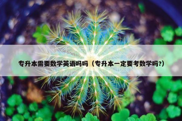 专升本需要数学英语吗吗（专升本一定要考数学吗?）