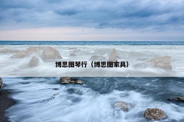 博思图琴行（博思图家具）
