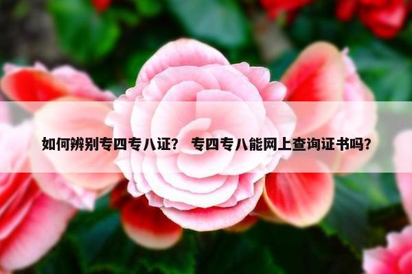 如何辨别专四专八证？ 专四专八能网上查询证书吗？