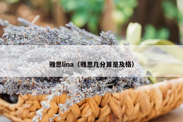 雅思lina（雅思几分算是及格）