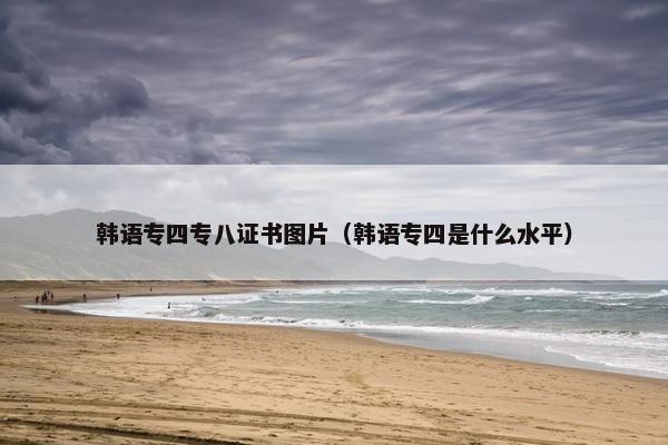 韩语专四专八证书图片（韩语专四是什么水平）