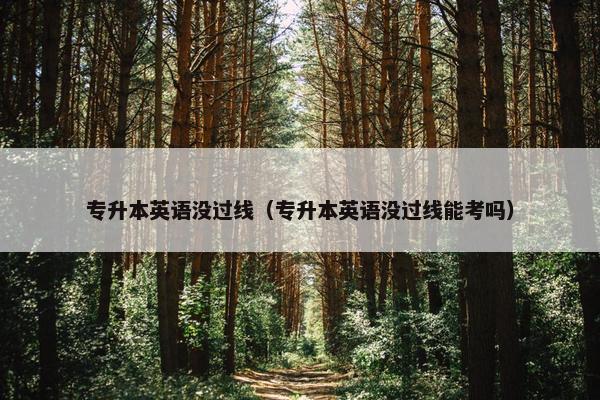 专升本英语没过线（专升本英语没过线能考吗）