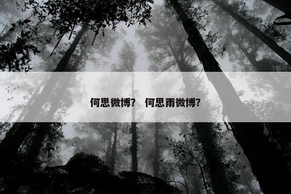 何思微博？ 何思雨微博？