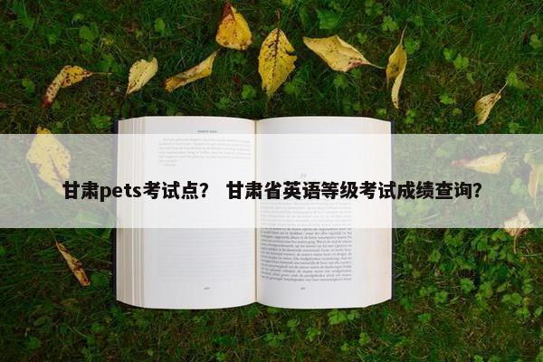 甘肃pets考试点？ 甘肃省英语等级考试成绩查询？