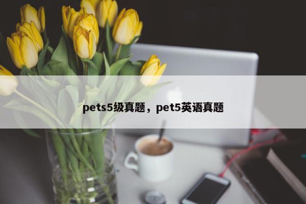 pets5级真题，pet5英语真题
