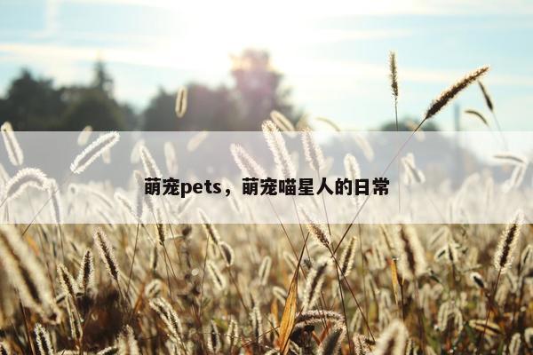 萌宠pets，萌宠喵星人的日常