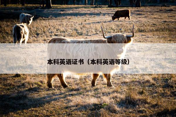 本科英语证书（本科英语等级）