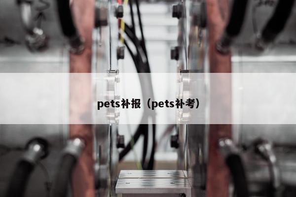 pets补报（pets补考）