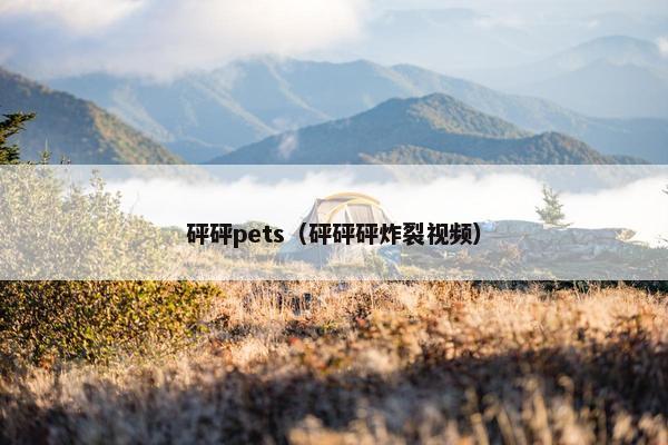 砰砰pets（砰砰砰炸裂视频）