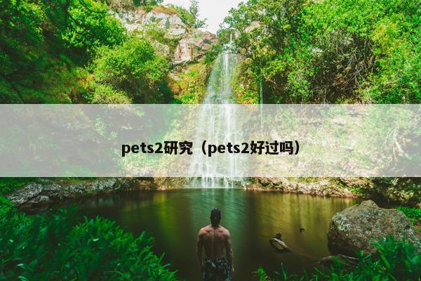 pets2研究（pets2好过吗）