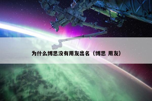 为什么博思没有用友出名（博思 用友）