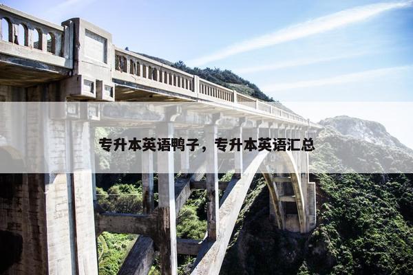 专升本英语鸭子，专升本英语汇总
