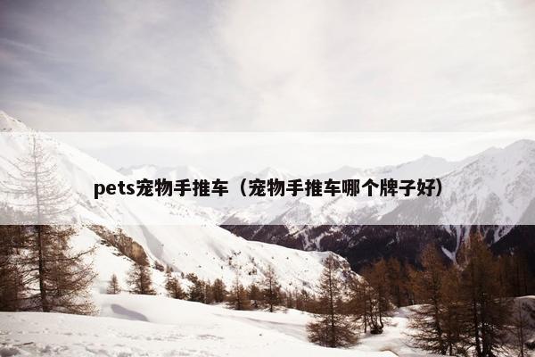 pets宠物手推车（宠物手推车哪个牌子好）