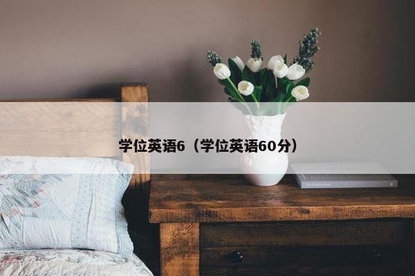 学位英语6（学位英语60分）