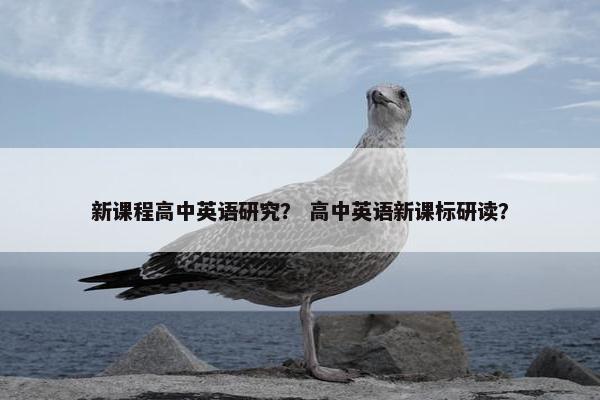 新课程高中英语研究？ 高中英语新课标研读？
