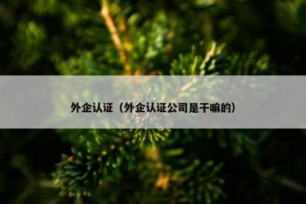 外企认证（外企认证公司是干嘛的）