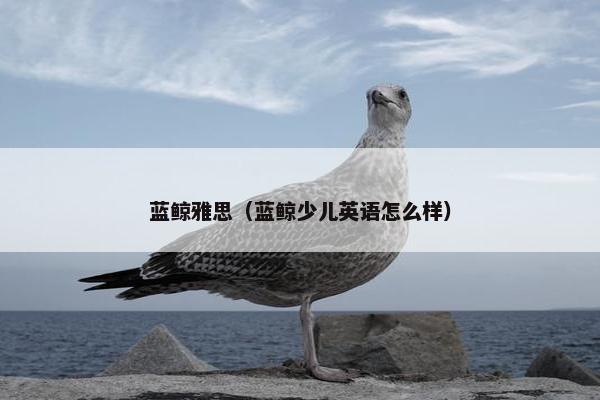 蓝鲸雅思（蓝鲸少儿英语怎么样）