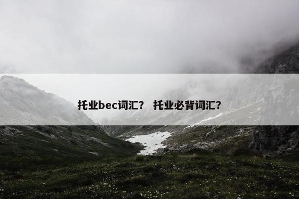 托业bec词汇？ 托业必背词汇？