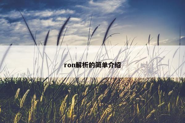 ron解析的简单介绍