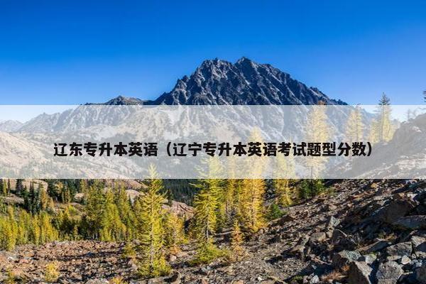 辽东专升本英语（辽宁专升本英语考试题型分数）