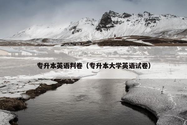 专升本英语判卷（专升本大学英语试卷）