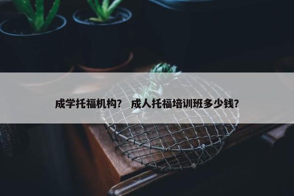 成学托福机构？ 成人托福培训班多少钱？