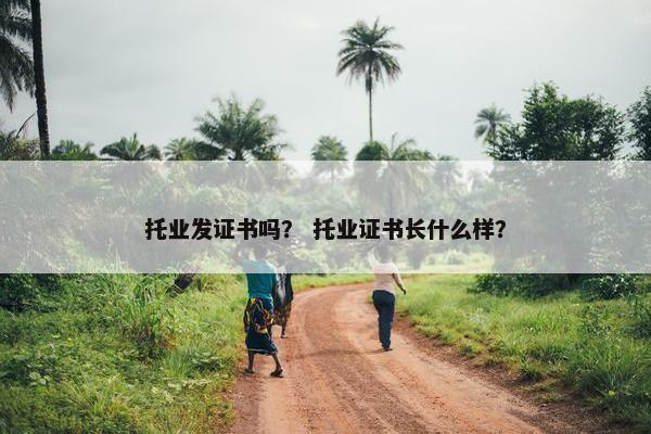 托业发证书吗？ 托业证书长什么样？