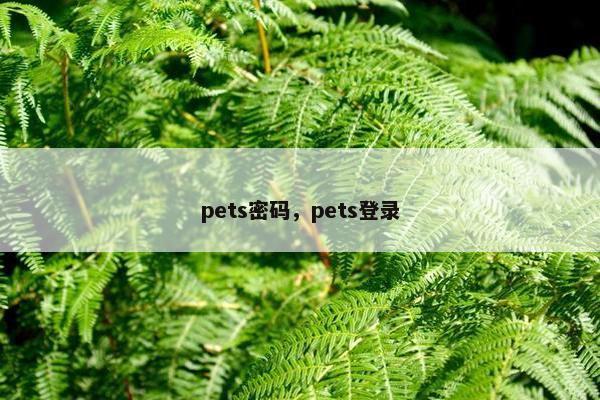pets密码，pets登录