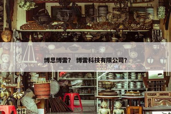 博思博雷？ 博雷科技有限公司？