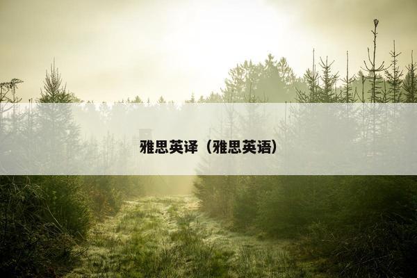 雅思英译（雅思英语）