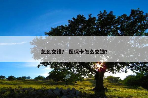 怎么交钱？ 医保卡怎么交钱？