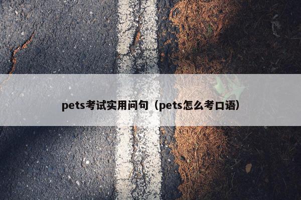 pets考试实用问句（pets怎么考口语）