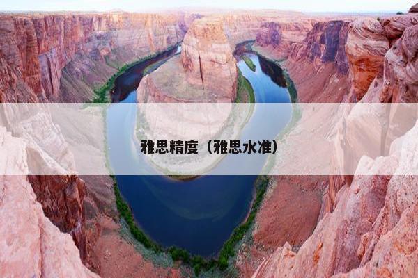 雅思精度（雅思水准）