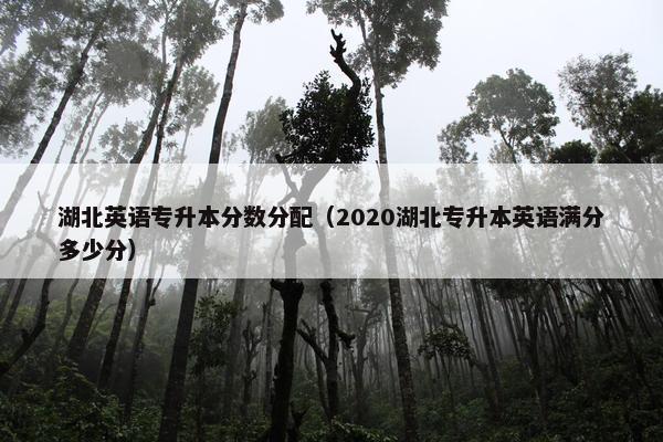 湖北英语专升本分数分配（2020湖北专升本英语满分多少分）