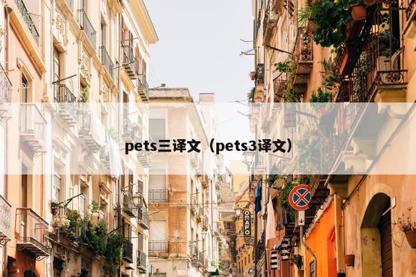 pets三译文（pets3译文）