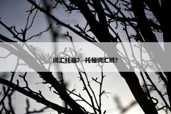 词汇托福？ 托福词汇班？