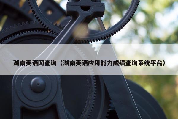 湖南英语网查询（湖南英语应用能力成绩查询系统平台）