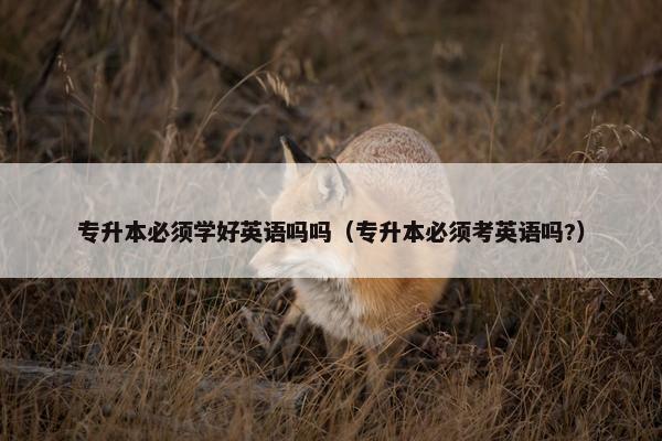 专升本必须学好英语吗吗（专升本必须考英语吗?）