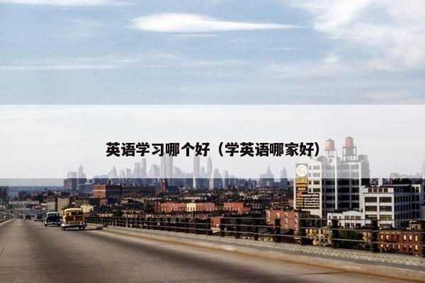 英语学习哪个好（学英语哪家好）