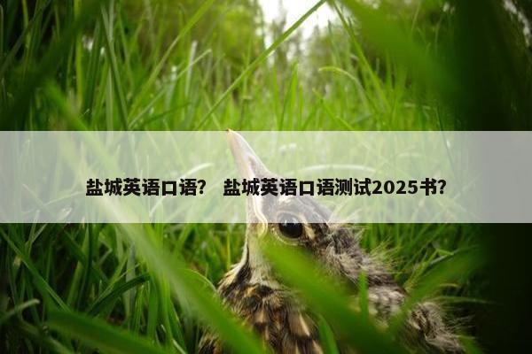 盐城英语口语？ 盐城英语口语测试2025书？