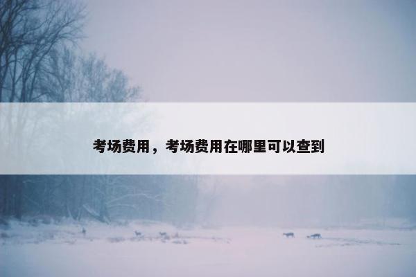 考场费用，考场费用在哪里可以查到